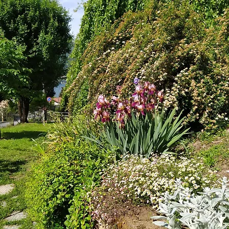 Bed and breakfast Il Bogno
