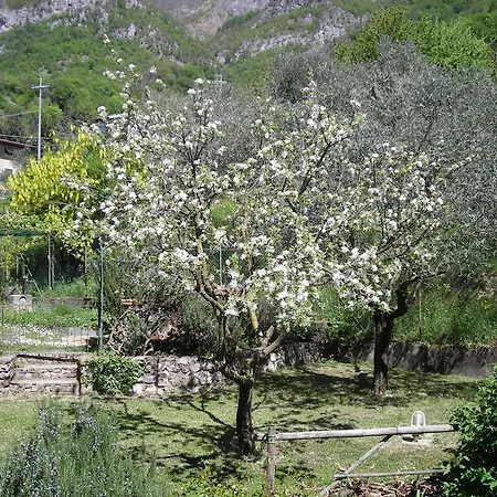 Panzió Il Bogno