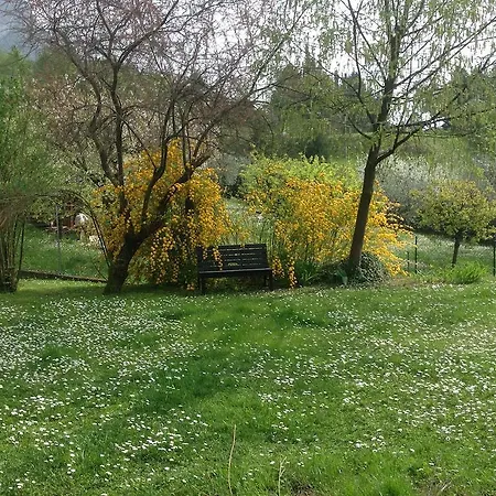 Panzió Il Bogno Lierna