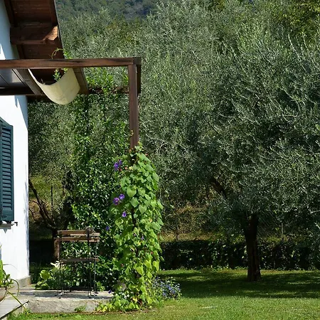 Il Bogno Panzió Lierna